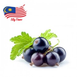 My Flavor Malaysia - Blackcurrant