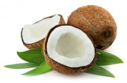 TPA Coconut (Extra)