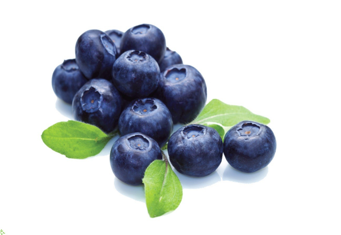 TPA Blueberry (Extra)