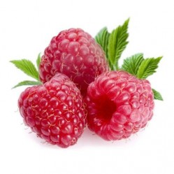TPA Raspberry Sweet