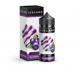 ICELAND Ice Cream - Blueberry